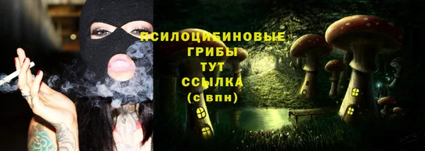 каннабис Арсеньев