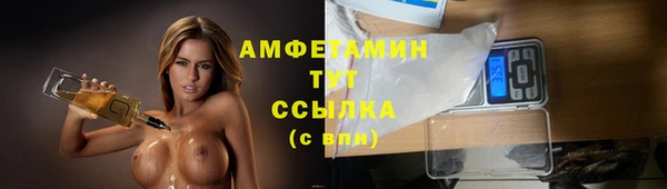 сатива Армянск