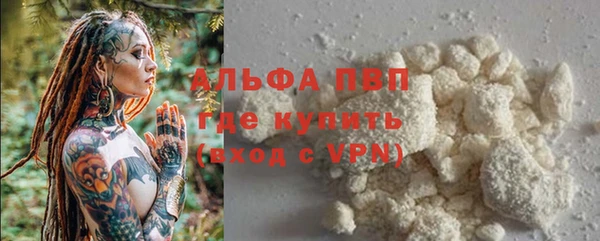 apvp Аркадак