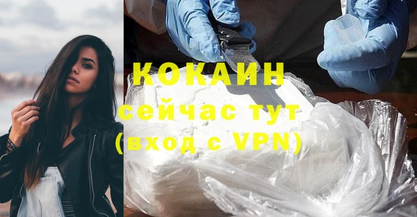 сатива Армянск