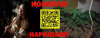 таблы Новозыбков