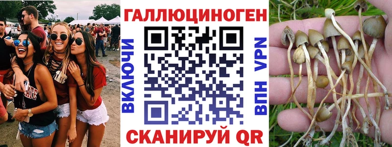 закладка  kraken tor  это клад  Курган  Галлюциногенные грибы мицелий 